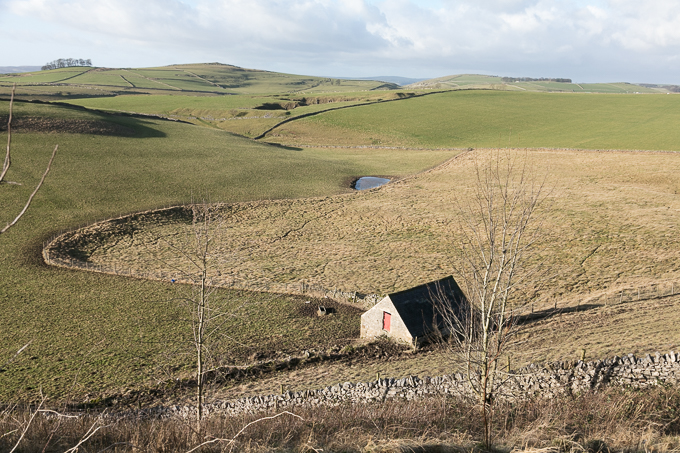 Christmas_Walk_03
