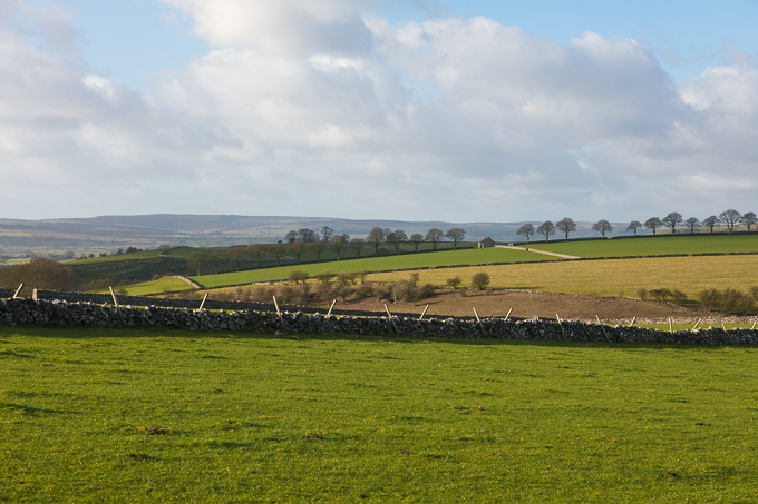 Christmas_Walk_07