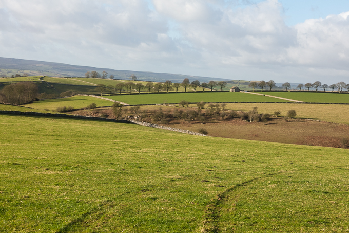 Christmas_Walk_08