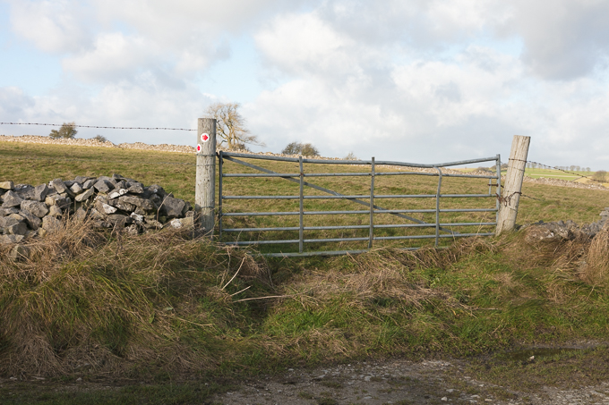 Christmas_Walk_13
