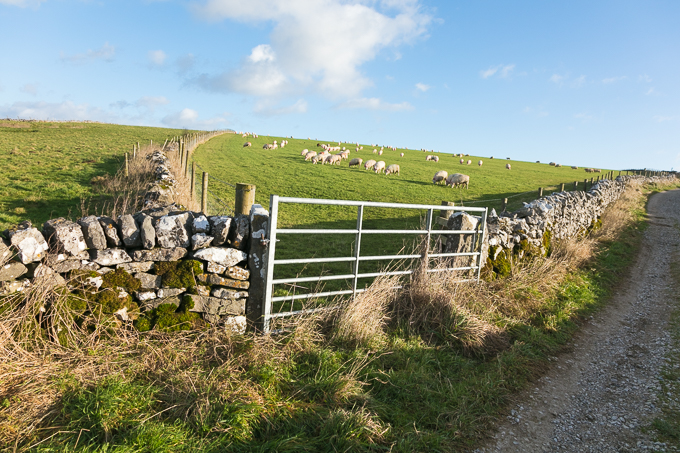 Christmas_Walk_21