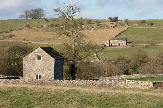 Christmas_Walk_36