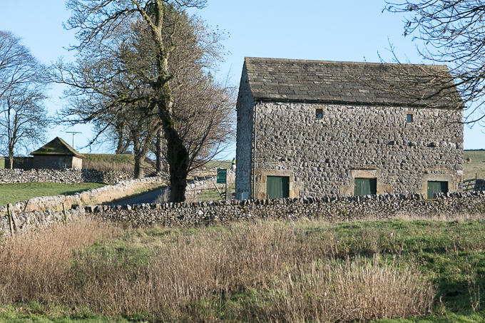 Christmas_Walk_42