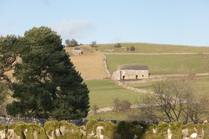 Christmas_Walk_43