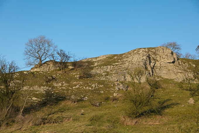 Christmas_Walk_67