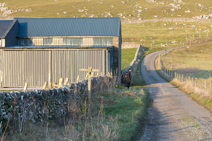 Christmas_Walk_72