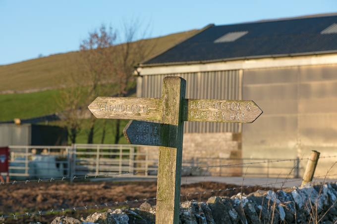 Christmas_Walk_73
