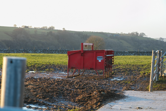 Christmas_Walk_77