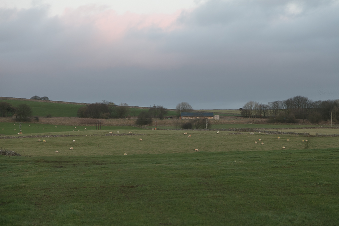 Christmas_Walk_88