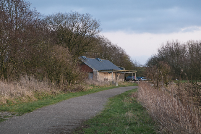Christmas_Walk_97