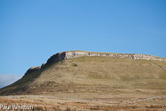 Scar above Askrigg