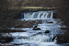 Aysgarth Falls