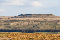 Adelborough