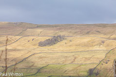 Swaledale