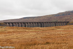 Ribblehead Viaduct