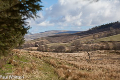 Snaizeholme squirrel land