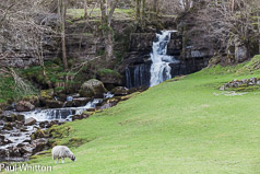 Waterfalls Swaledale