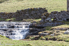 Swaledale