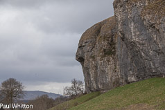 Wensleydale